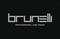 Logo Brunelli Pro Car Srl